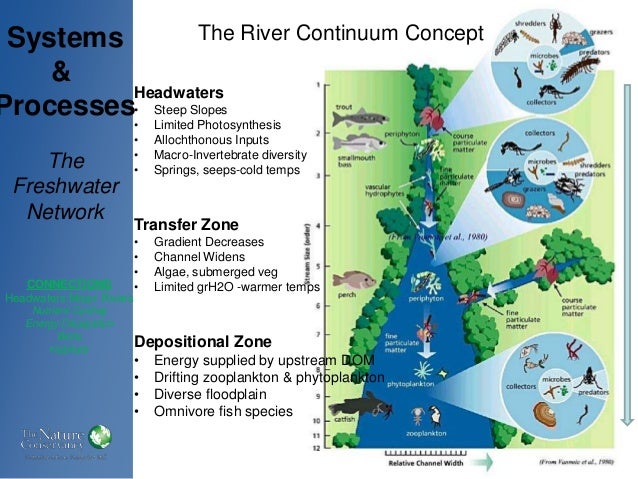 ecosystem channel Delaware Basin the Connections in Biological Maintaining
