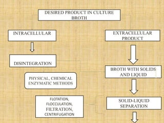 DESIRED PRODUCT IN CULTURE
BROTH
INTRACELLULAR
PRODUC
EXTRACELLULAR
PRODUCT
OR
DISINTEGRATION
PHYSICAL, CHEMICAL
ENZYMATIC METHODS
BROTH WITH SOLIDS
AND LIQUID
SOLID-LIQUID
SEPARATION
FLOTATION,
FLOCCULATION,
FILTRATION,
CENTRIFUGATION
M.PhilMicrobiology-NEETHU
ASOKAN
 