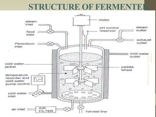 STRUCTURE OF FERMENTER
M.PhilMicrobiology-NEETHU
ASOKAN
 