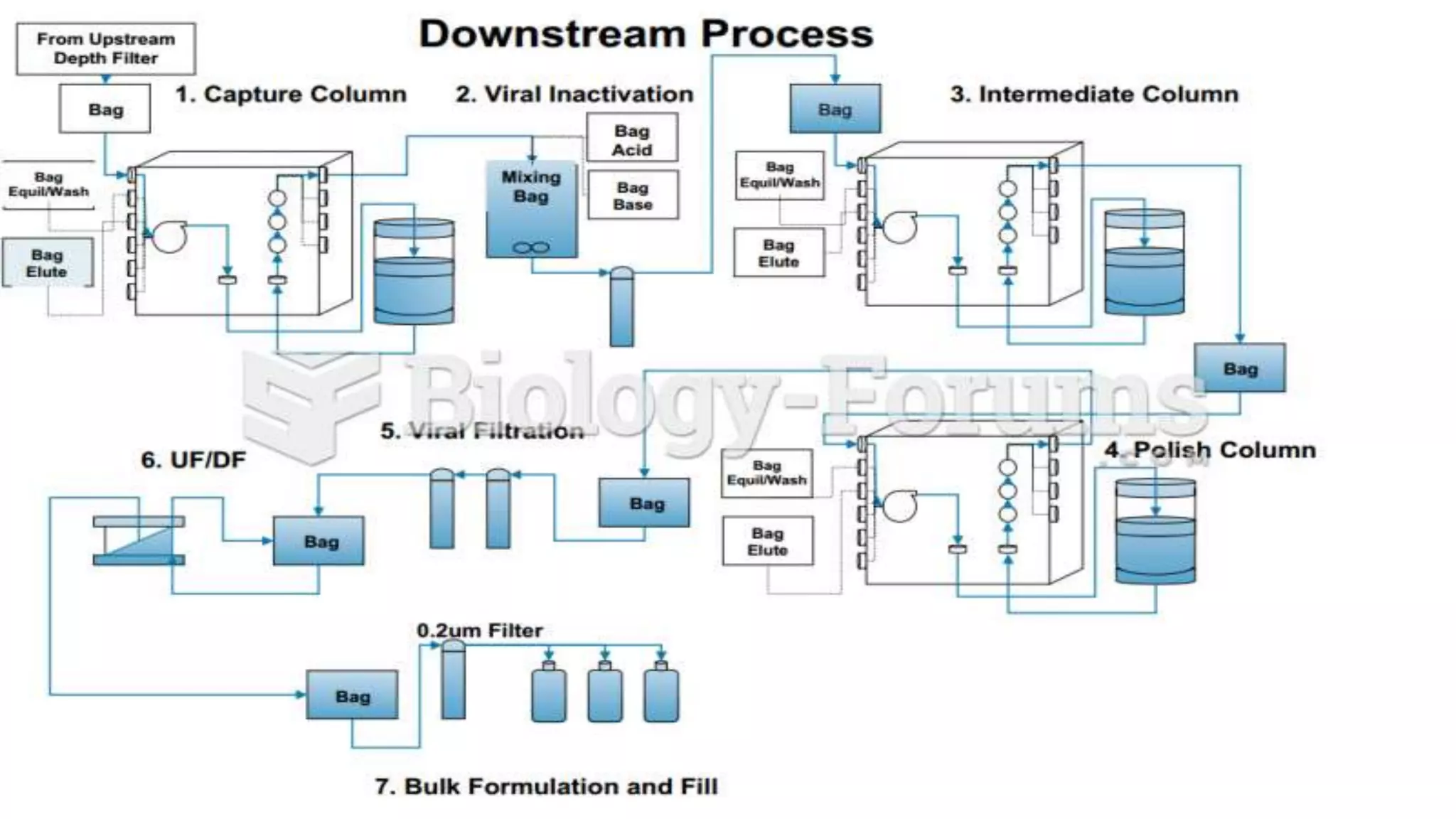 Upstream and Downstream process.pptx.pptx