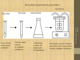 Upstream and Downstream Processing-1.pptx