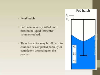Upstream and Downstream Processing-1.pptx
