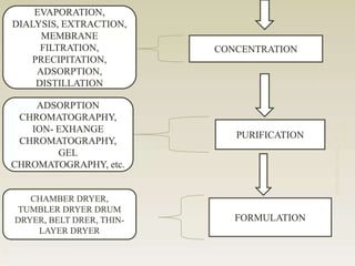 Upstream and Downstream Processing-1.pptx