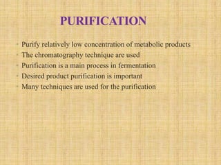 Upstream and Downstream Processing-1.pptx