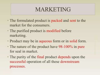 Upstream and Downstream Processing-1.pptx