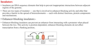 Insulators
• Insulators are DNA sequence elements that help to prevent inappropriate interactions between adjacent
regions of the genome.
• There are two types of insulator — one that is involved in enhancer-blocking activity and other that
provides a barrier to the spread of heterochromatin — each with distinct functions, protein components
and mechanisms.
• Enhancer-blocking insulators:-
• Enhancer-blocking insulators can prevent an enhancer from interacting with a promoter when placed
between the two. This activity is position dependent; enhancer-blocking elements do not affect
transcription from a flanking position.
 