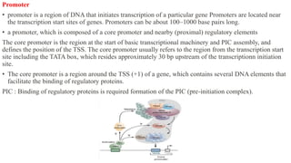 Promoter
• promoter is a region of DNA that initiates transcription of a particular gene Promoters are located near
the transcription start sites of genes. Promoters can be about 100–1000 base pairs long.
• a promoter, which is composed of a core promoter and nearby (proximal) regulatory elements
The core promoter is the region at the start of basic transcriptional machinery and PIC assembly, and
defines the position of the TSS. The core promoter usually refers to the region from the transcription start
site including the TATA box, which resides approximately 30 bp upstream of the transcriptionn initiation
site.
• The core promoter is a region around the TSS (+1) of a gene, which contains several DNA elements that
facilitate the binding of regulatory proteins.
PIC : Binding of regulatory proteins is required formation of the PIC (pre-initiation complex).
 