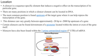 Location
• A silencer is a sequence-specific element that induces a negative effect on the transcription of its
particular gene.
• There are many positions in which a silencer element can be located in DNA.
• The most common position is found upstream of the target gene where it can help repress the
transcription of the gene.
• This distance can vary greatly between approximately -20 bp to -2000 bp upstream of a gene.
• Certain silencers can be found downstream of a promoter located within the intron or exon of the gene
itself.
• Silencers have also been found within the 3 prime untranslated region (3' UTR) of mRNA
 