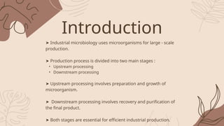 Upstream & downstream processing DSE microbiology ppt (1).pptx