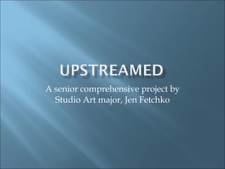 A senior comprehensive project by Studio Art major, Jen Fetchko 