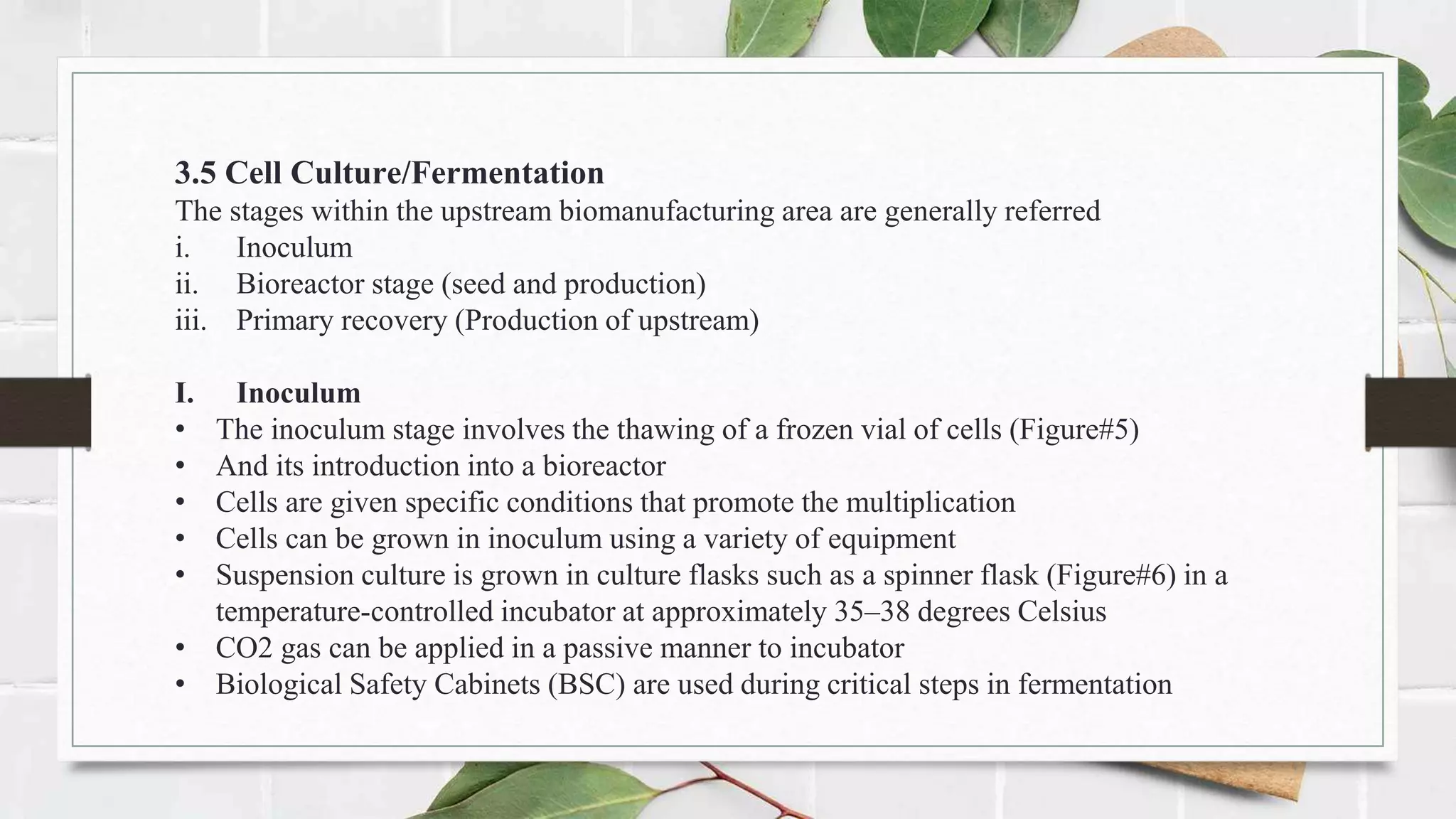 3.5 Cell Culture/Fermentation
The stages within the upstream biomanufacturing area are generally referred
i. Inoculum
ii. Bioreactor stage (seed and production)
iii. Primary recovery (Production of upstream)
I. Inoculum
• The inoculum stage involves the thawing of a frozen vial of cells (Figure#5)
• And its introduction into a bioreactor
• Cells are given specific conditions that promote the multiplication
• Cells can be grown in inoculum using a variety of equipment
• Suspension culture is grown in culture flasks such as a spinner flask (Figure#6) in a
temperature-controlled incubator at approximately 35–38 degrees Celsius
• CO2 gas can be applied in a passive manner to incubator
• Biological Safety Cabinets (BSC) are used during critical steps in fermentation
 