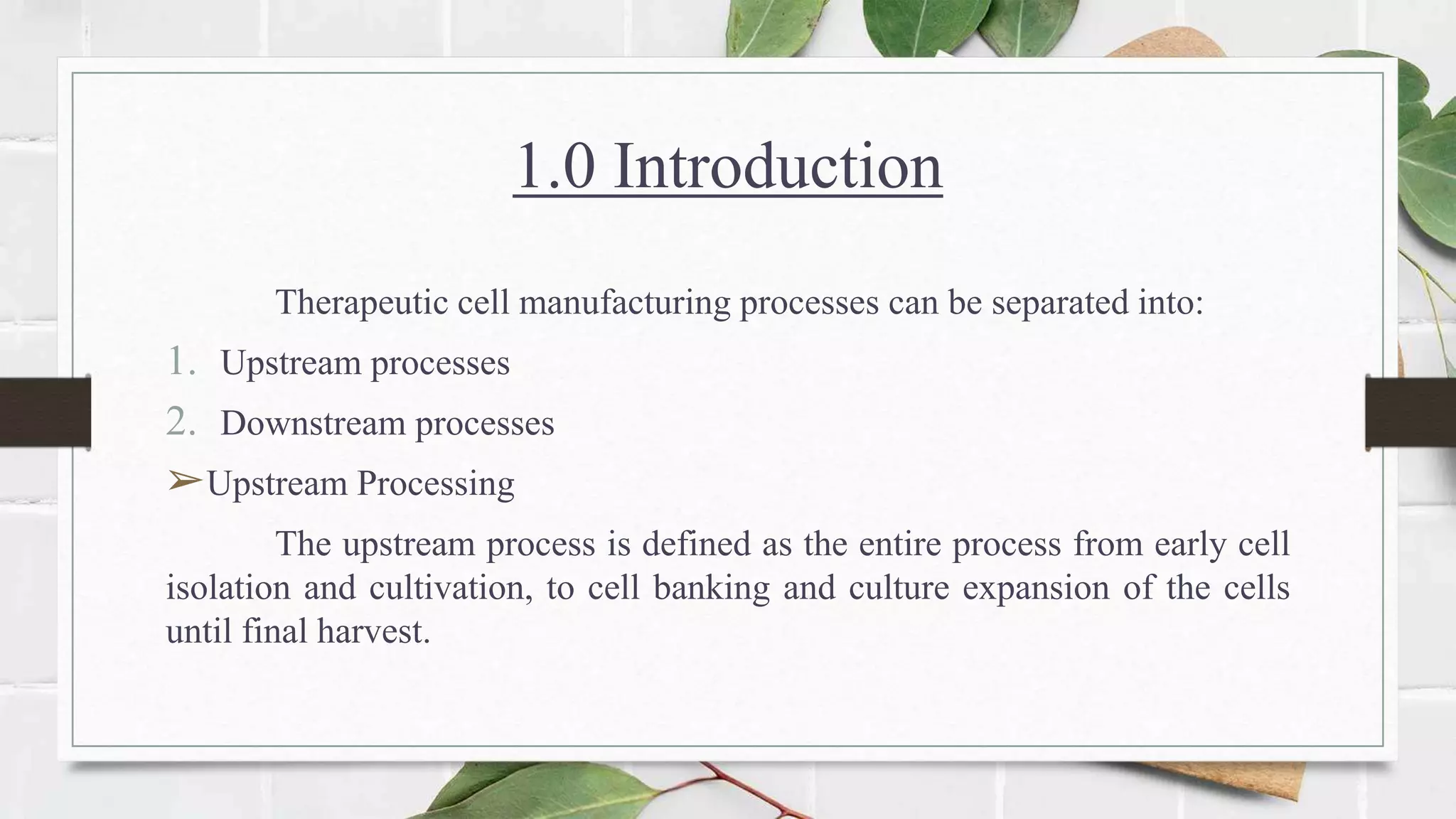 1.0 Introduction
Therapeutic cell manufacturing processes can be separated into:
1. Upstream processes
2. Downstream processes
➢Upstream Processing
The upstream process is defined as the entire process from early cell
isolation and cultivation, to cell banking and culture expansion of the cells
until final harvest.
 