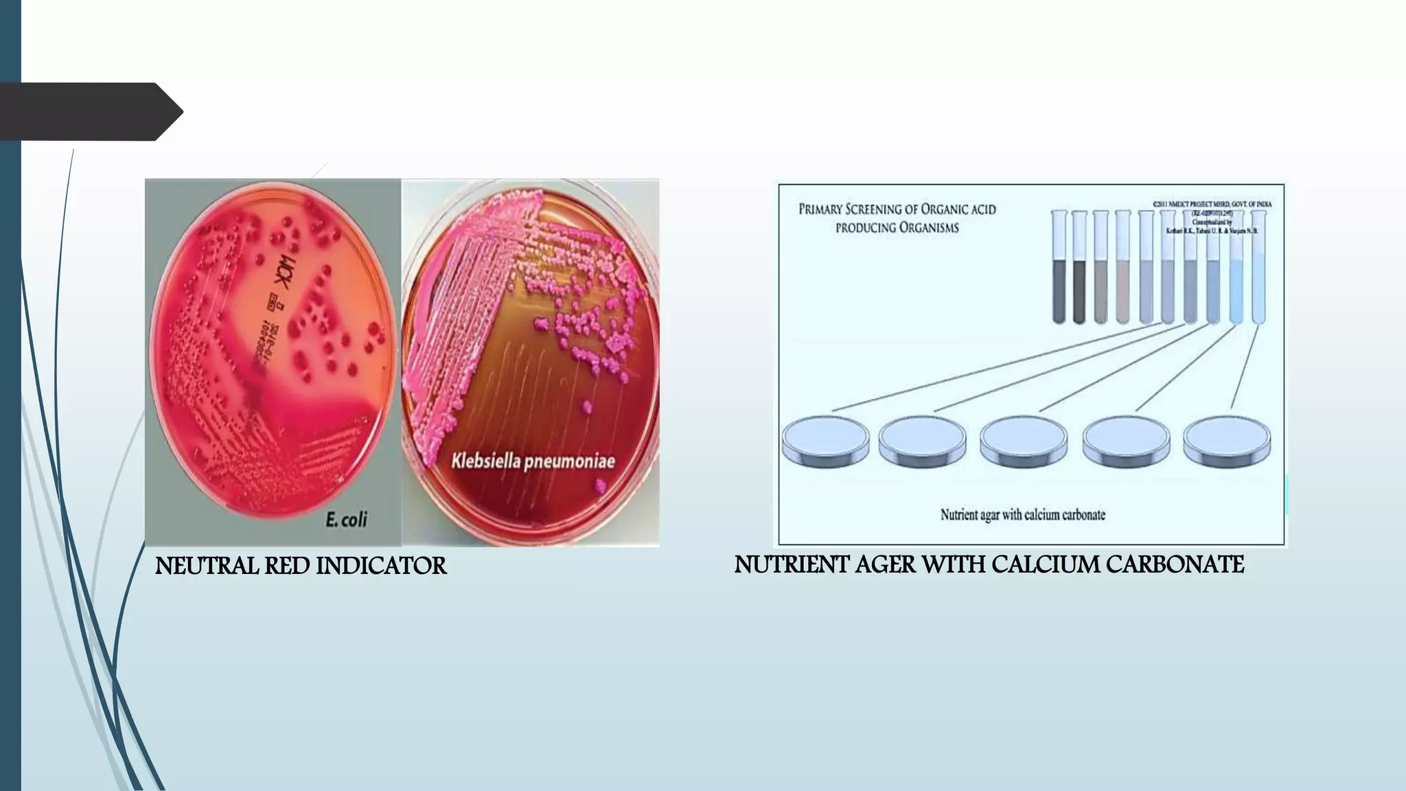 NUTRIENT AGER WITH CALCIUM CARBONATENEUTRAL RED INDICATOR
 