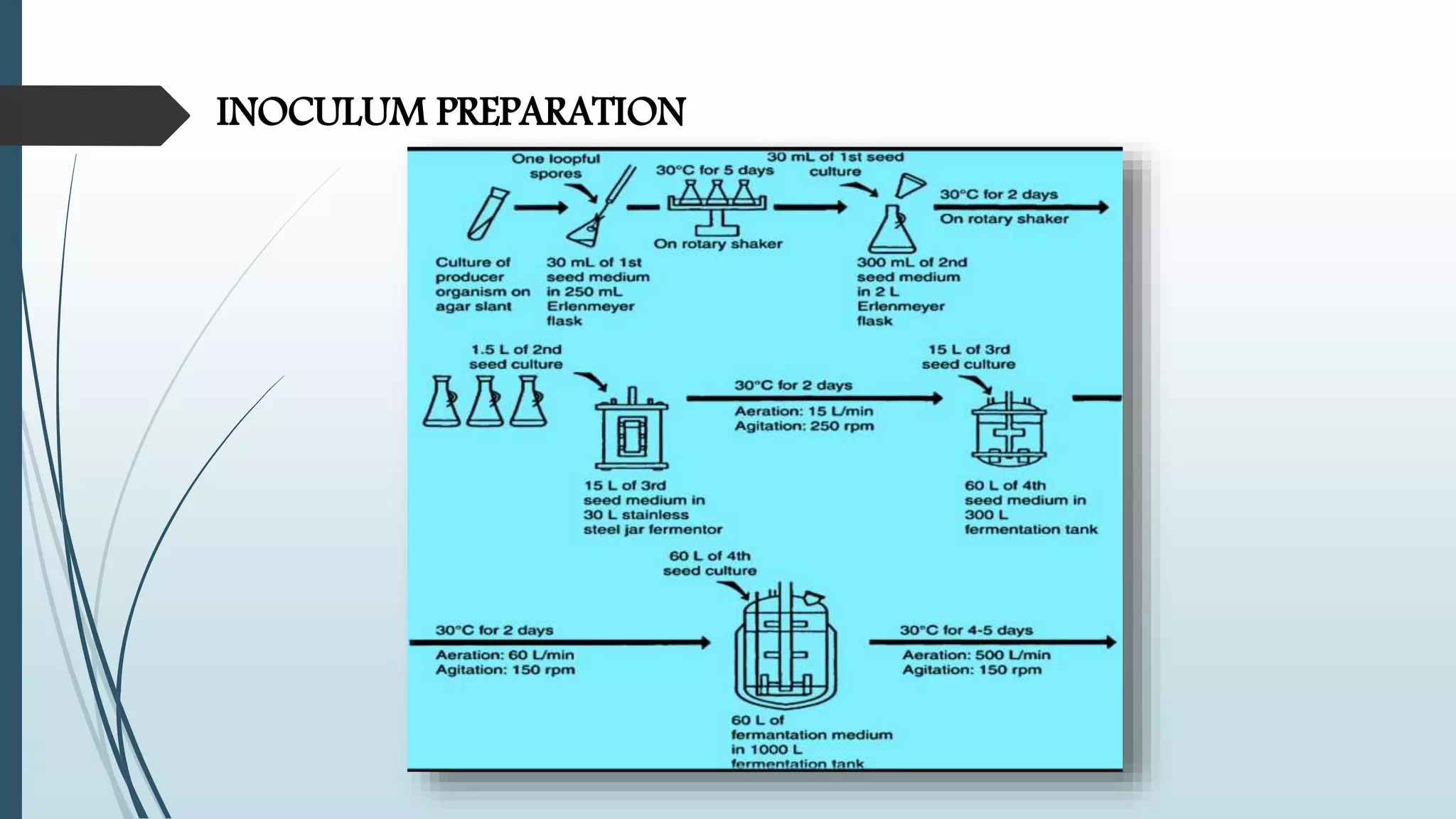 INOCULUM PREPARATION
 