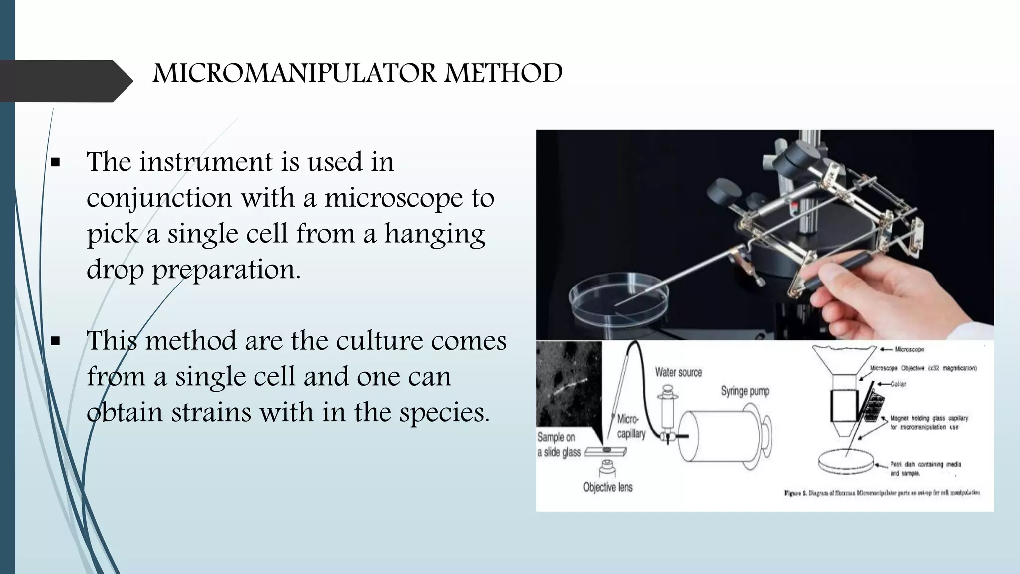 MICROMANIPULATOR METHOD
 The instrument is used in
conjunction with a microscope to
pick a single cell from a hanging
drop preparation.
 This method are the culture comes
from a single cell and one can
obtain strains with in the species.
 