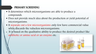 PRIMARY SCREENING
 It determines which microorganisms are able to produce a
compounds.
 Does not provide much idea about the production or yield potential of
microorganisms.
 It separate out a few microorganisms only few have commercial value
while discards the valueless microorganisms.
 It is based on the qualitative ability to produce the desired product like
antibiotic or amino acid or an enzyme etc.
 