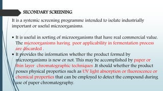 SECONDARY SCREENING
It is a systemic screening programme intended to isolate industrially
important or useful microorganisms.
 It is useful in sorting of microorganisms that have real commercial value.
The microorganisms having poor applicability in fermentation process
are discarded .
 It provides the information whether the product formed by
microorganisms is new or not. This may be accomplished by paper or
thin layer chromatographic techniques .It should whether the product
posses physical properties such as UV light absorption or fluorescence or
chemical properties that can be employed to detect the compound during
use of paper chromatography.
 