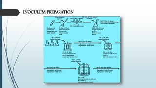 INOCULUM PREPARATION
 