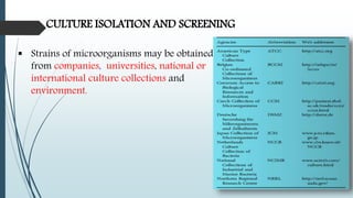 CULTURE ISOLATION AND SCREENING
 Strains of microorganisms may be obtained
from companies, universities, national or
international culture collections and
environment.
 