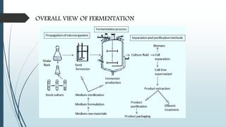 OVERALL VIEW OF FERMENTATION
 