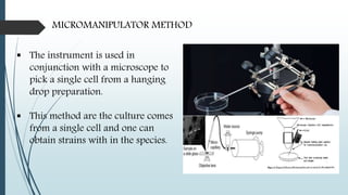 MICROMANIPULATOR METHOD
 The instrument is used in
conjunction with a microscope to
pick a single cell from a hanging
drop preparation.
 This method are the culture comes
from a single cell and one can
obtain strains with in the species.
 