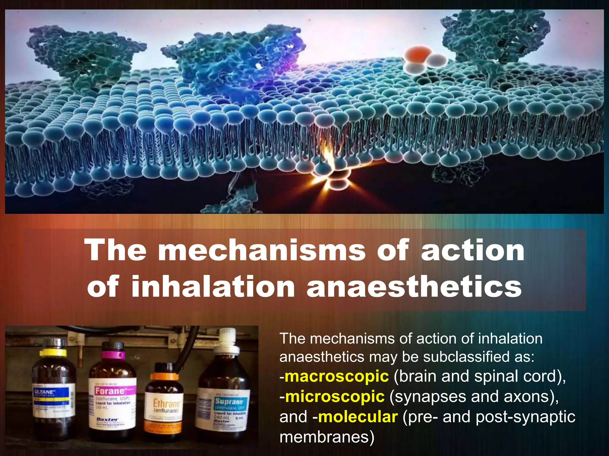 The mechanisms of action of inhalation
anaesthetics may be subclassified as:
-macroscopic (brain and spinal cord),
-microscopic (synapses and axons),
and -molecular (pre- and post-synaptic
membranes)
The mechanisms of action
of inhalation anaesthetics
 