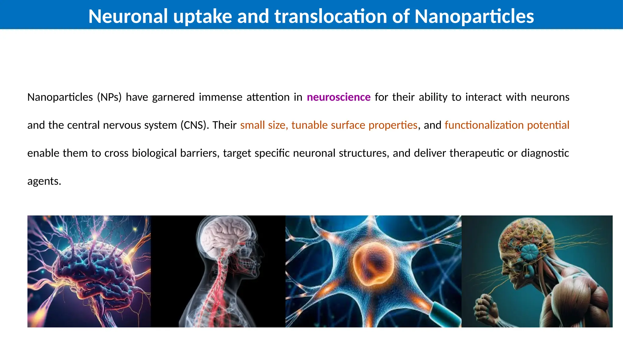 View of Uptake and Translocation of NPs in Neuron and Bloodstream.pptx