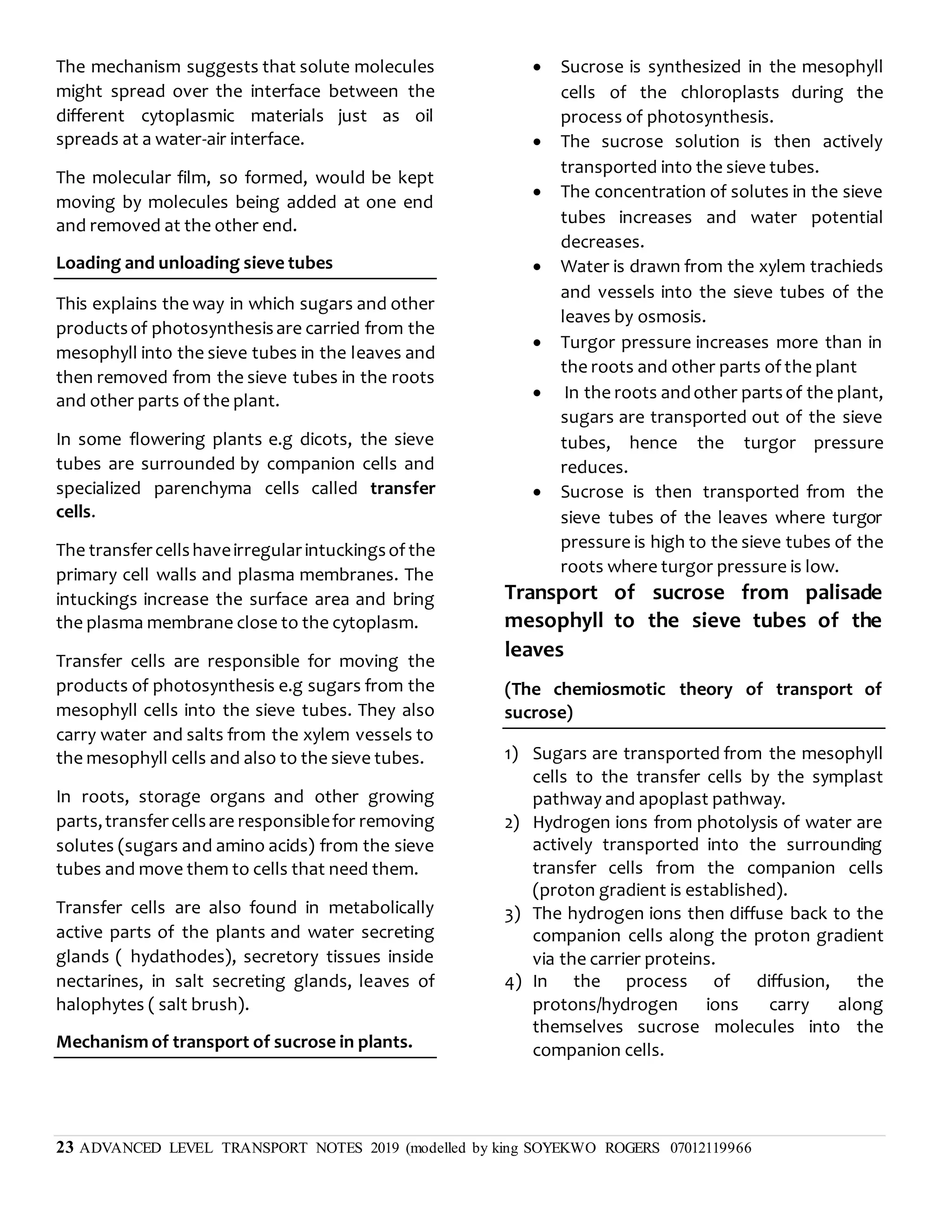 23 ADVANCED LEVEL TRANSPORT NOTES 2019 (modelled by king SOYEKWO ROGERS 07012119966
The mechanism suggests that solute molecules
might spread over the interface between the
different cytoplasmic materials just as oil
spreads at a water-air interface.
The molecular film, so formed, would be kept
moving by molecules being added at one end
and removed at the other end.
Loading and unloading sieve tubes
This explains the way in which sugars and other
productsof photosynthesisare carried from the
mesophyll into the sieve tubes in the leaves and
then removed from the sieve tubes in the roots
and other parts of the plant.
In some flowering plants e.g dicots, the sieve
tubes are surrounded by companion cells and
specialized parenchyma cells called transfer
cells.
The transfercellshaveirregularintuckingsof the
primary cell walls and plasma membranes. The
intuckings increase the surface area and bring
the plasma membrane close to the cytoplasm.
Transfer cells are responsible for moving the
products of photosynthesis e.g sugars from the
mesophyll cells into the sieve tubes. They also
carry water and salts from the xylem vessels to
the mesophyll cells and also to the sieve tubes.
In roots, storage organs and other growing
parts,transfercellsare responsiblefor removing
solutes (sugars and amino acids) from the sieve
tubes and move them to cells that need them.
Transfer cells are also found in metabolically
active parts of the plants and water secreting
glands ( hydathodes), secretory tissues inside
nectarines, in salt secreting glands, leaves of
halophytes ( salt brush).
Mechanism of transport of sucrose in plants.
 Sucrose is synthesized in the mesophyll
cells of the chloroplasts during the
process of photosynthesis.
 The sucrose solution is then actively
transported into the sieve tubes.
 The concentration of solutes in the sieve
tubes increases and water potential
decreases.
 Water is drawn from the xylem trachieds
and vessels into the sieve tubes of the
leaves by osmosis.
 Turgor pressure increases more than in
the roots and other parts of the plant
 In the roots andother partsof the plant,
sugars are transported out of the sieve
tubes, hence the turgor pressure
reduces.
 Sucrose is then transported from the
sieve tubes of the leaves where turgor
pressure is high to the sieve tubes of the
roots where turgor pressure is low.
Transport of sucrose from palisade
mesophyll to the sieve tubes of the
leaves
(The chemiosmotic theory of transport of
sucrose)
1) Sugars are transported from the mesophyll
cells to the transfer cells by the symplast
pathway and apoplast pathway.
2) Hydrogen ions from photolysis of water are
actively transported into the surrounding
transfer cells from the companion cells
(proton gradient is established).
3) The hydrogen ions then diffuse back to the
companion cells along the proton gradient
via the carrier proteins.
4) In the process of diffusion, the
protons/hydrogen ions carry along
themselves sucrose molecules into the
companion cells.
 