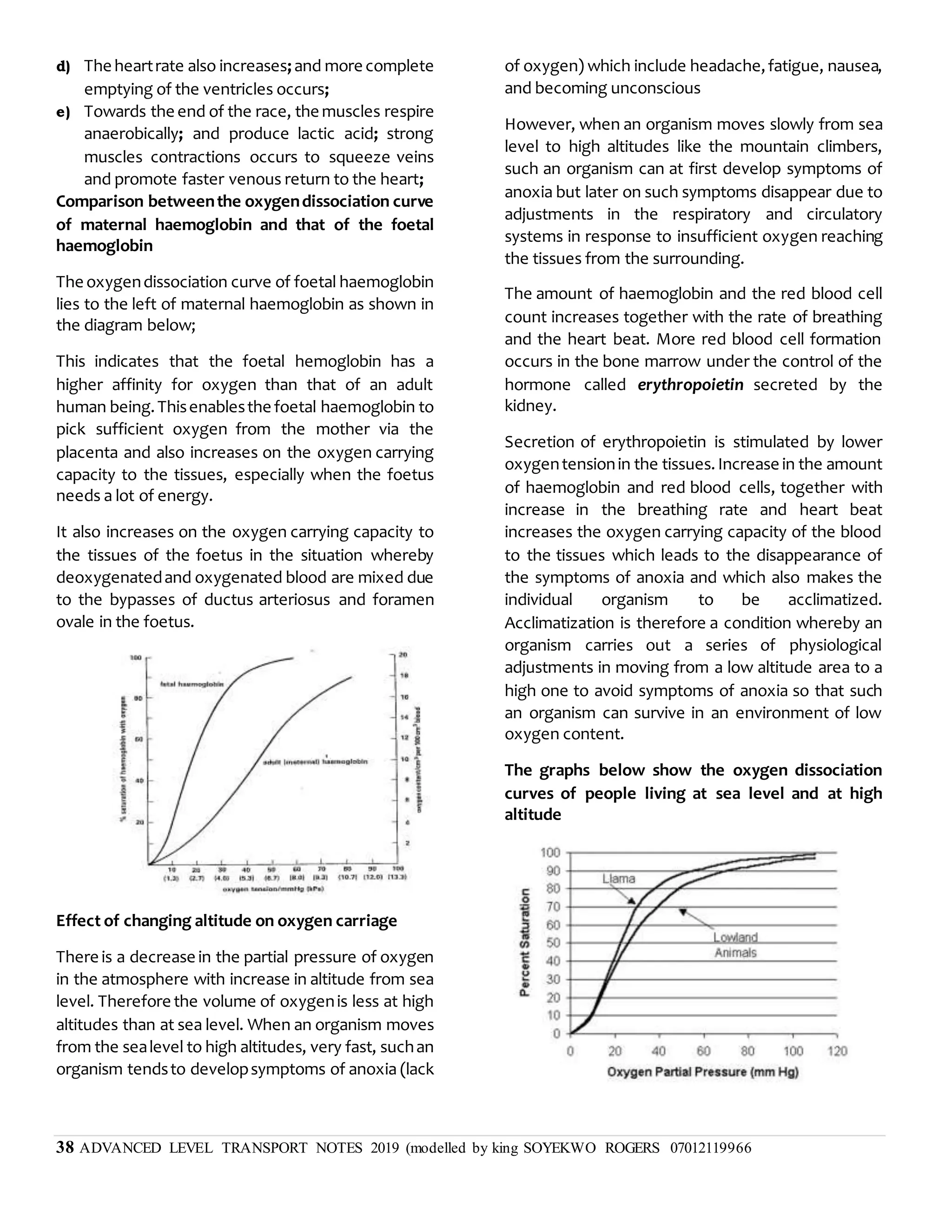 38 ADVANCED LEVEL TRANSPORT NOTES 2019 (modelled by king SOYEKWO ROGERS 07012119966
d) The heartrate also increases;and more complete
emptying of the ventricles occurs;
e) Towards the end of the race, the muscles respire
anaerobically; and produce lactic acid; strong
muscles contractions occurs to squeeze veins
and promote faster venous return to the heart;
Comparison betweenthe oxygendissociation curve
of maternal haemoglobin and that of the foetal
haemoglobin
The oxygendissociation curve of foetal haemoglobin
lies to the left of maternal haemoglobin as shown in
the diagram below;
This indicates that the foetal hemoglobin has a
higher affinity for oxygen than that of an adult
human being.Thisenablesthe foetal haemoglobin to
pick sufficient oxygen from the mother via the
placenta and also increases on the oxygen carrying
capacity to the tissues, especially when the foetus
needs a lot of energy.
It also increases on the oxygen carrying capacity to
the tissues of the foetus in the situation whereby
deoxygenatedand oxygenated blood are mixed due
to the bypasses of ductus arteriosus and foramen
ovale in the foetus.
Effect of changing altitude on oxygen carriage
There is a decrease in the partial pressure of oxygen
in the atmosphere with increase in altitude from sea
level. Therefore the volume of oxygenis less at high
altitudes than at sea level. When an organism moves
from the sealevel to high altitudes, very fast, suchan
organism tendsto developsymptoms of anoxia (lack
of oxygen) which include headache,fatigue, nausea,
and becoming unconscious
However, when an organism moves slowly from sea
level to high altitudes like the mountain climbers,
such an organism can at first develop symptoms of
anoxia but later on such symptoms disappear due to
adjustments in the respiratory and circulatory
systems in response to insufficient oxygen reaching
the tissues from the surrounding.
The amount of haemoglobin and the red blood cell
count increases together with the rate of breathing
and the heart beat. More red blood cell formation
occurs in the bone marrow under the control of the
hormone called erythropoietin secreted by the
kidney.
Secretion of erythropoietin is stimulated by lower
oxygentensionin the tissues.Increase in the amount
of haemoglobin and red blood cells, together with
increase in the breathing rate and heart beat
increases the oxygen carrying capacity of the blood
to the tissues which leads to the disappearance of
the symptoms of anoxia and which also makes the
individual organism to be acclimatized.
Acclimatization is therefore a condition whereby an
organism carries out a series of physiological
adjustments in moving from a low altitude area to a
high one to avoid symptoms of anoxia so that such
an organism can survive in an environment of low
oxygen content.
The graphs below show the oxygen dissociation
curves of people living at sea level and at high
altitude
 