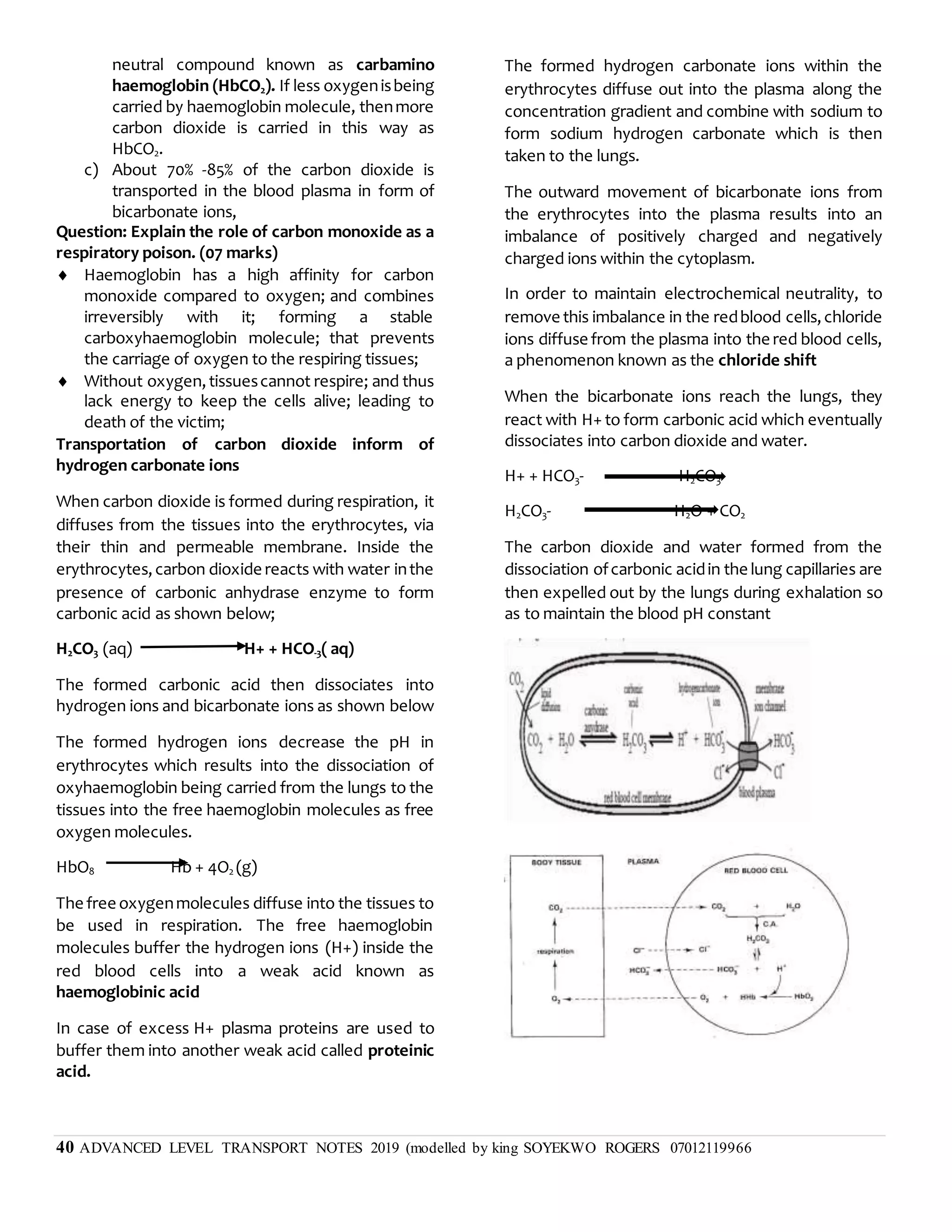 40 ADVANCED LEVEL TRANSPORT NOTES 2019 (modelled by king SOYEKWO ROGERS 07012119966
neutral compound known as carbamino
haemoglobin (HbCO2). If less oxygenisbeing
carried by haemoglobin molecule, thenmore
carbon dioxide is carried in this way as
HbCO2.
c) About 70% -85% of the carbon dioxide is
transported in the blood plasma in form of
bicarbonate ions,
Question: Explain the role of carbon monoxide as a
respiratory poison. (07 marks)
 Haemoglobin has a high affinity for carbon
monoxide compared to oxygen; and combines
irreversibly with it; forming a stable
carboxyhaemoglobin molecule; that prevents
the carriage of oxygen to the respiring tissues;
 Without oxygen,tissuescannot respire; and thus
lack energy to keep the cells alive; leading to
death of the victim;
Transportation of carbon dioxide inform of
hydrogen carbonate ions
When carbon dioxide is formed during respiration, it
diffuses from the tissues into the erythrocytes, via
their thin and permeable membrane. Inside the
erythrocytes,carbon dioxide reacts with water inthe
presence of carbonic anhydrase enzyme to form
carbonic acid as shown below;
H2CO3 (aq) H+ + HCO-3( aq)
The formed carbonic acid then dissociates into
hydrogen ions and bicarbonate ions as shown below
The formed hydrogen ions decrease the pH in
erythrocytes which results into the dissociation of
oxyhaemoglobin being carried from the lungs to the
tissues into the free haemoglobin molecules as free
oxygen molecules.
HbO8 Hb + 4O2 (g)
The free oxygenmolecules diffuse into the tissues to
be used in respiration. The free haemoglobin
molecules buffer the hydrogen ions (H+) inside the
red blood cells into a weak acid known as
haemoglobinic acid
In case of excess H+ plasma proteins are used to
buffer them into another weak acid called proteinic
acid.
The formed hydrogen carbonate ions within the
erythrocytes diffuse out into the plasma along the
concentration gradient and combine with sodium to
form sodium hydrogen carbonate which is then
taken to the lungs.
The outward movement of bicarbonate ions from
the erythrocytes into the plasma results into an
imbalance of positively charged and negatively
charged ions within the cytoplasm.
In order to maintain electrochemical neutrality, to
remove this imbalance in the redblood cells,chloride
ions diffuse from the plasma into the red blood cells,
a phenomenon known as the chloride shift
When the bicarbonate ions reach the lungs, they
react with H+ to form carbonic acid which eventually
dissociates into carbon dioxide and water.
H+ + HCO3- H2CO3
H2CO3- H2O + CO2
The carbon dioxide and water formed from the
dissociation ofcarbonic acidin the lung capillaries are
then expelled out by the lungs during exhalation so
as to maintain the blood pH constant
 