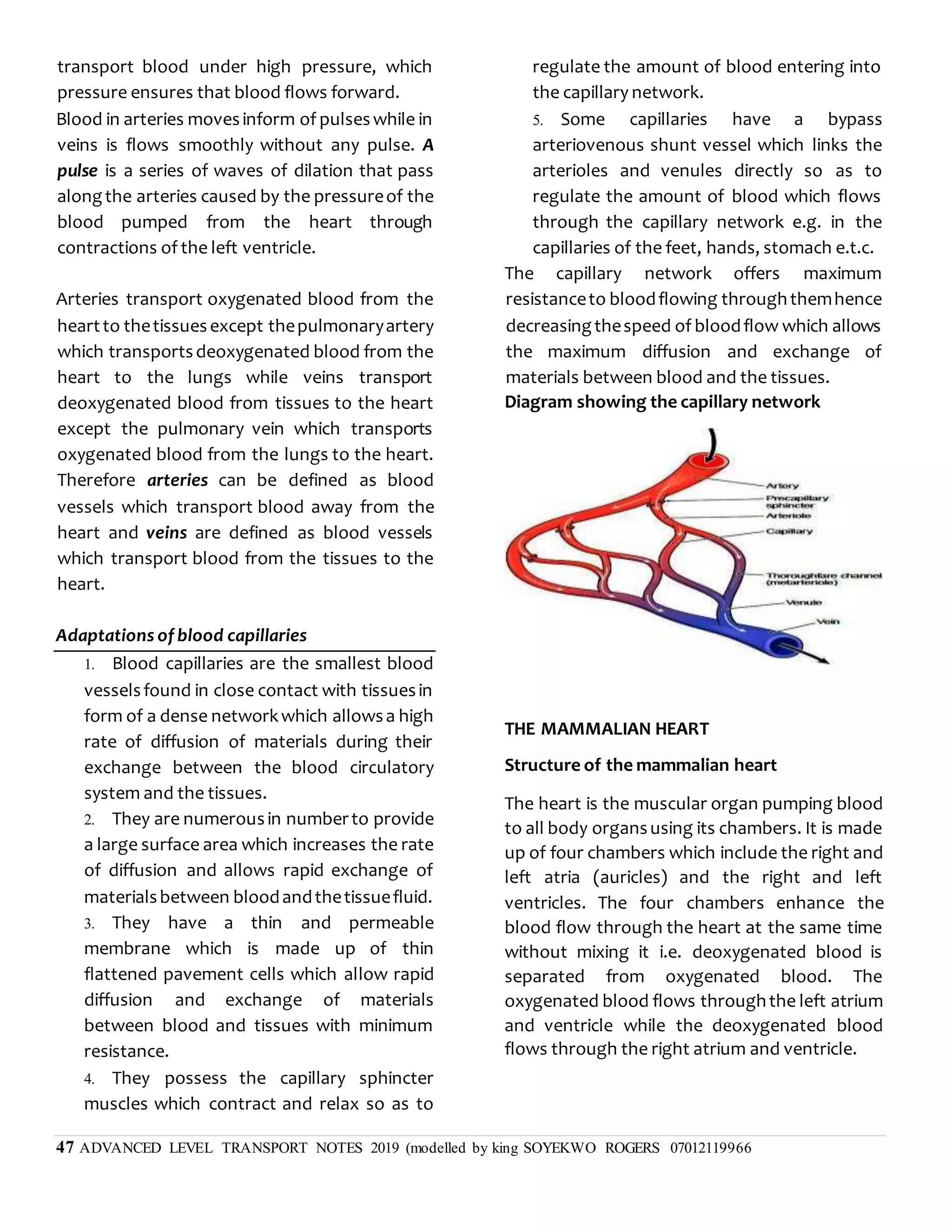 47 ADVANCED LEVEL TRANSPORT NOTES 2019 (modelled by king SOYEKWO ROGERS 07012119966
transport blood under high pressure, which
pressure ensures that blood flows forward.
Blood in arteries movesinform of pulseswhile in
veins is flows smoothly without any pulse. A
pulse is a series of waves of dilation that pass
alongthe arteries caused by the pressureof the
blood pumped from the heart through
contractions of the left ventricle.
Arteries transport oxygenated blood from the
heartto thetissuesexcept thepulmonaryartery
which transportsdeoxygenated blood from the
heart to the lungs while veins transport
deoxygenated blood from tissues to the heart
except the pulmonary vein which transports
oxygenated blood from the lungs to the heart.
Therefore arteries can be defined as blood
vessels which transport blood away from the
heart and veins are defined as blood vessels
which transport blood from the tissues to the
heart.
Adaptations of blood capillaries
1. Blood capillaries are the smallest blood
vesselsfound in close contact with tissuesin
form of a dense networkwhich allowsa high
rate of diffusion of materials during their
exchange between the blood circulatory
system and the tissues.
2. They are numerousin numberto provide
a large surface area which increases the rate
of diffusion and allows rapid exchange of
materialsbetween bloodandthetissuefluid.
3. They have a thin and permeable
membrane which is made up of thin
flattened pavement cells which allow rapid
diffusion and exchange of materials
between blood and tissues with minimum
resistance.
4. They possess the capillary sphincter
muscles which contract and relax so as to
regulate the amount of blood entering into
the capillary network.
5. Some capillaries have a bypass
arteriovenous shunt vessel which links the
arterioles and venules directly so as to
regulate the amount of blood which flows
through the capillary network e.g. in the
capillaries of the feet, hands, stomach e.t.c.
The capillary network offers maximum
resistanceto bloodflowing throughthemhence
decreasingthespeed of bloodflow which allows
the maximum diffusion and exchange of
materials between blood and the tissues.
Diagram showing the capillary network
THE MAMMALIAN HEART
Structure of the mammalian heart
The heart is the muscular organ pumping blood
to all body organsusing its chambers. It is made
up of four chambers which include the right and
left atria (auricles) and the right and left
ventricles. The four chambers enhance the
blood flow through the heart at the same time
without mixing it i.e. deoxygenated blood is
separated from oxygenated blood. The
oxygenated blood flows throughthe left atrium
and ventricle while the deoxygenated blood
flows through the right atrium and ventricle.
 