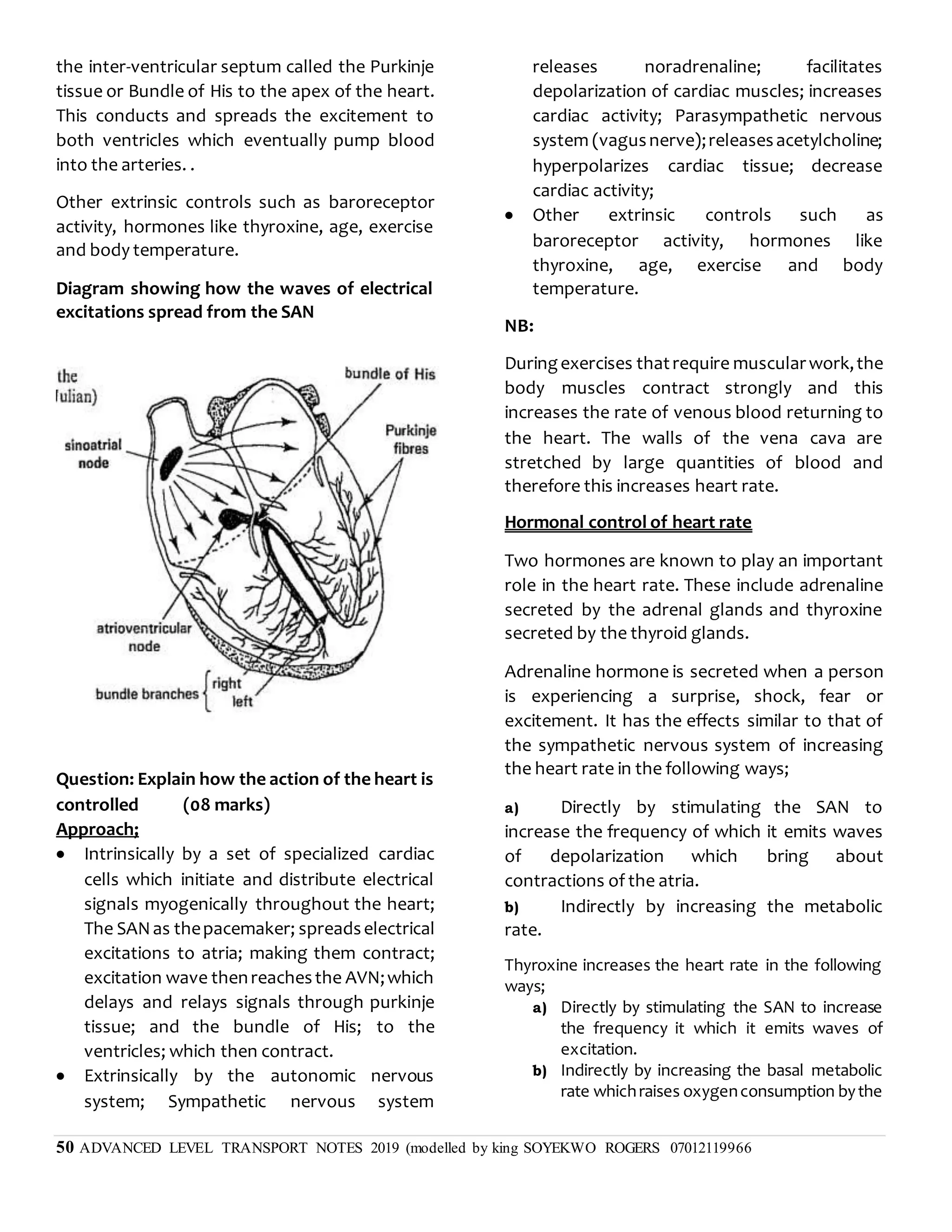 50 ADVANCED LEVEL TRANSPORT NOTES 2019 (modelled by king SOYEKWO ROGERS 07012119966
the inter-ventricular septum called the Purkinje
tissue or Bundle of His to the apex of the heart.
This conducts and spreads the excitement to
both ventricles which eventually pump blood
into the arteries. .
Other extrinsic controls such as baroreceptor
activity, hormones like thyroxine, age, exercise
and body temperature.
Diagram showing how the waves of electrical
excitations spread from the SAN
Question: Explain how the action of the heart is
controlled (08 marks)
Approach;
 Intrinsically by a set of specialized cardiac
cells which initiate and distribute electrical
signals myogenically throughout the heart;
The SANas thepacemaker; spreadselectrical
excitations to atria; making them contract;
excitation wave thenreachesthe AVN;which
delays and relays signals through purkinje
tissue; and the bundle of His; to the
ventricles; which then contract.
 Extrinsically by the autonomic nervous
system; Sympathetic nervous system
releases noradrenaline; facilitates
depolarization of cardiac muscles; increases
cardiac activity; Parasympathetic nervous
system (vagusnerve);releasesacetylcholine;
hyperpolarizes cardiac tissue; decrease
cardiac activity;
 Other extrinsic controls such as
baroreceptor activity, hormones like
thyroxine, age, exercise and body
temperature.
NB:
Duringexercises thatrequire muscularwork,the
body muscles contract strongly and this
increases the rate of venous blood returning to
the heart. The walls of the vena cava are
stretched by large quantities of blood and
therefore this increases heart rate.
Hormonal control of heart rate
Two hormones are known to play an important
role in the heart rate. These include adrenaline
secreted by the adrenal glands and thyroxine
secreted by the thyroid glands.
Adrenaline hormone is secreted when a person
is experiencing a surprise, shock, fear or
excitement. It has the effects similar to that of
the sympathetic nervous system of increasing
the heart rate in the following ways;
a) Directly by stimulating the SAN to
increase the frequency of which it emits waves
of depolarization which bring about
contractions of the atria.
b) Indirectly by increasing the metabolic
rate.
Thyroxine increases the heart rate in the following
ways;
a) Directly by stimulating the SAN to increase
the frequency it which it emits waves of
excitation.
b) Indirectly by increasing the basal metabolic
rate whichraises oxygenconsumption bythe
 