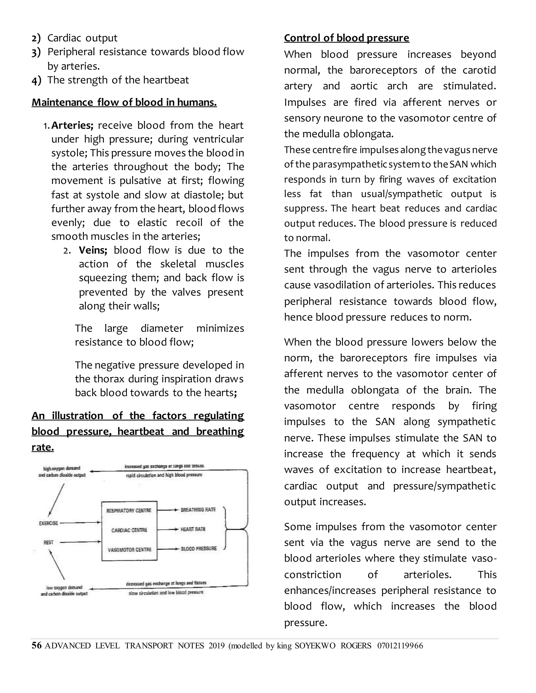 56 ADVANCED LEVEL TRANSPORT NOTES 2019 (modelled by king SOYEKWO ROGERS 07012119966
2) Cardiac output
3) Peripheral resistance towards blood flow
by arteries.
4) The strength of the heartbeat
Maintenance flow of blood in humans.
1.Arteries; receive blood from the heart
under high pressure; during ventricular
systole; This pressure moves the blood in
the arteries throughout the body; The
movement is pulsative at first; flowing
fast at systole and slow at diastole; but
further away from the heart, blood flows
evenly; due to elastic recoil of the
smooth muscles in the arteries;
2. Veins; blood flow is due to the
action of the skeletal muscles
squeezing them; and back flow is
prevented by the valves present
along their walls;
The large diameter minimizes
resistance to blood flow;
The negative pressure developed in
the thorax during inspiration draws
back blood towards to the hearts;
An illustration of the factors regulating
blood pressure, heartbeat and breathing
rate.
Control of blood pressure
When blood pressure increases beyond
normal, the baroreceptors of the carotid
artery and aortic arch are stimulated.
Impulses are fired via afferent nerves or
sensory neurone to the vasomotor centre of
the medulla oblongata.
These centrefire impulsesalongthevagusnerve
of the parasympatheticsystemto theSAN which
responds in turn by firing waves of excitation
less fat than usual/sympathetic output is
suppress. The heart beat reduces and cardiac
output reduces. The blood pressure is reduced
to normal.
The impulses from the vasomotor center
sent through the vagus nerve to arterioles
cause vasodilation of arterioles. This reduces
peripheral resistance towards blood flow,
hence blood pressure reduces to norm.
When the blood pressure lowers below the
norm, the baroreceptors fire impulses via
afferent nerves to the vasomotor center of
the medulla oblongata of the brain. The
vasomotor centre responds by firing
impulses to the SAN along sympathetic
nerve. These impulses stimulate the SAN to
increase the frequency at which it sends
waves of excitation to increase heartbeat,
cardiac output and pressure/sympathetic
output increases.
Some impulses from the vasomotor center
sent via the vagus nerve are send to the
blood arterioles where they stimulate vaso-
constriction of arterioles. This
enhances/increases peripheral resistance to
blood flow, which increases the blood
pressure.
 
