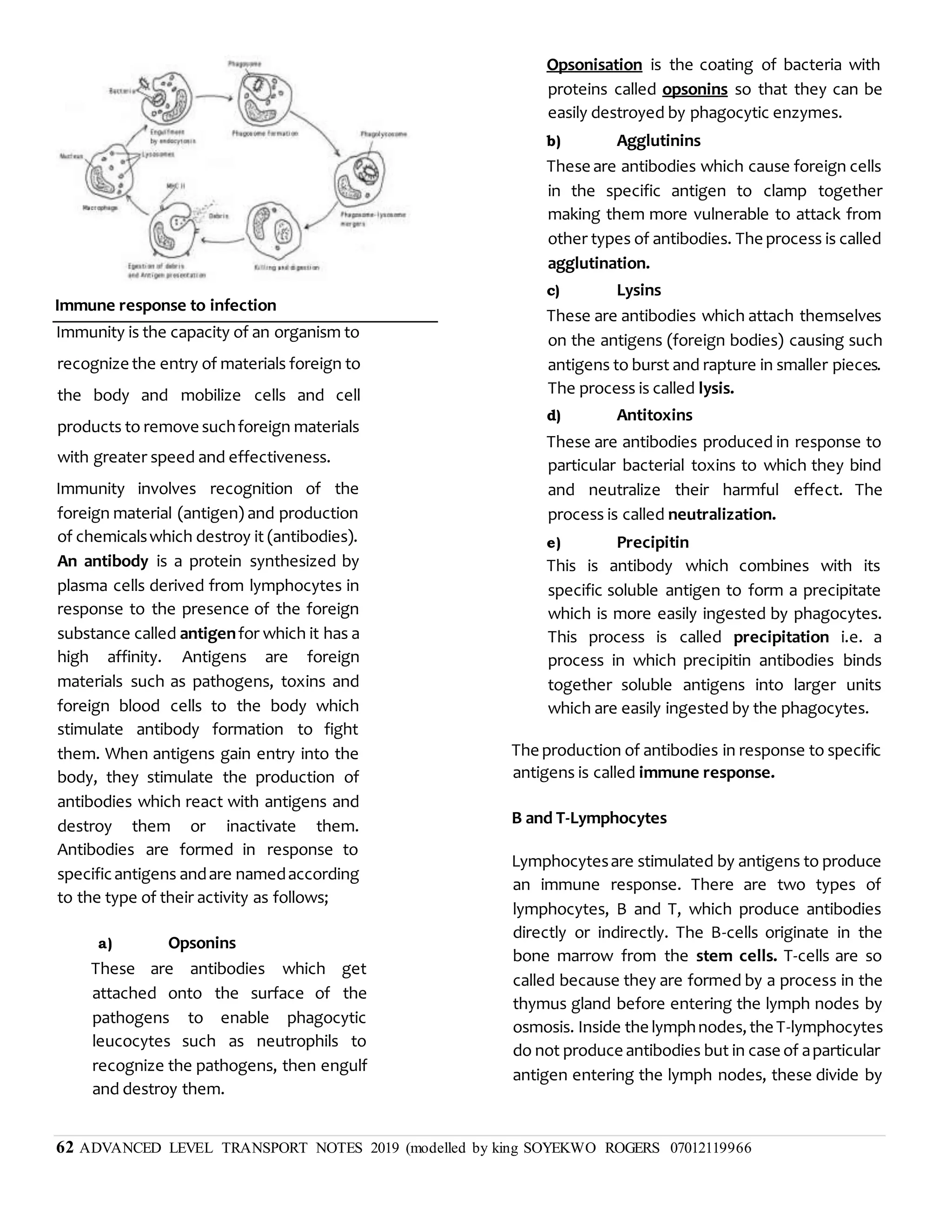 62 ADVANCED LEVEL TRANSPORT NOTES 2019 (modelled by king SOYEKWO ROGERS 07012119966
Immune response to infection
Immunity is the capacity of an organism to
recognize the entry of materials foreign to
the body and mobilize cells and cell
products to remove suchforeign materials
with greater speed and effectiveness.
Immunity involves recognition of the
foreign material (antigen) and production
of chemicalswhich destroy it (antibodies).
An antibody is a protein synthesized by
plasma cells derived from lymphocytes in
response to the presence of the foreign
substance called antigenfor which it has a
high affinity. Antigens are foreign
materials such as pathogens, toxins and
foreign blood cells to the body which
stimulate antibody formation to fight
them. When antigens gain entry into the
body, they stimulate the production of
antibodies which react with antigens and
destroy them or inactivate them.
Antibodies are formed in response to
specificantigens andare namedaccording
to the type of their activity as follows;
a) Opsonins
These are antibodies which get
attached onto the surface of the
pathogens to enable phagocytic
leucocytes such as neutrophils to
recognize the pathogens, then engulf
and destroy them.
Opsonisation is the coating of bacteria with
proteins called opsonins so that they can be
easily destroyed by phagocytic enzymes.
b) Agglutinins
These are antibodies which cause foreign cells
in the specific antigen to clamp together
making them more vulnerable to attack from
other types of antibodies. The process is called
agglutination.
c) Lysins
These are antibodies which attach themselves
on the antigens (foreign bodies) causing such
antigens to burst and rapture in smaller pieces.
The process is called lysis.
d) Antitoxins
These are antibodies produced in response to
particular bacterial toxins to which they bind
and neutralize their harmful effect. The
process is called neutralization.
e) Precipitin
This is antibody which combines with its
specific soluble antigen to form a precipitate
which is more easily ingested by phagocytes.
This process is called precipitation i.e. a
process in which precipitin antibodies binds
together soluble antigens into larger units
which are easily ingested by the phagocytes.
The production of antibodies in response to specific
antigens is called immune response.
B and T-Lymphocytes
Lymphocytesare stimulated by antigens to produce
an immune response. There are two types of
lymphocytes, B and T, which produce antibodies
directly or indirectly. The B-cells originate in the
bone marrow from the stem cells. T-cells are so
called because they are formed by a process in the
thymus gland before entering the lymph nodes by
osmosis. Inside the lymphnodes,the T-lymphocytes
do not produce antibodies but in case of aparticular
antigen entering the lymph nodes, these divide by
 