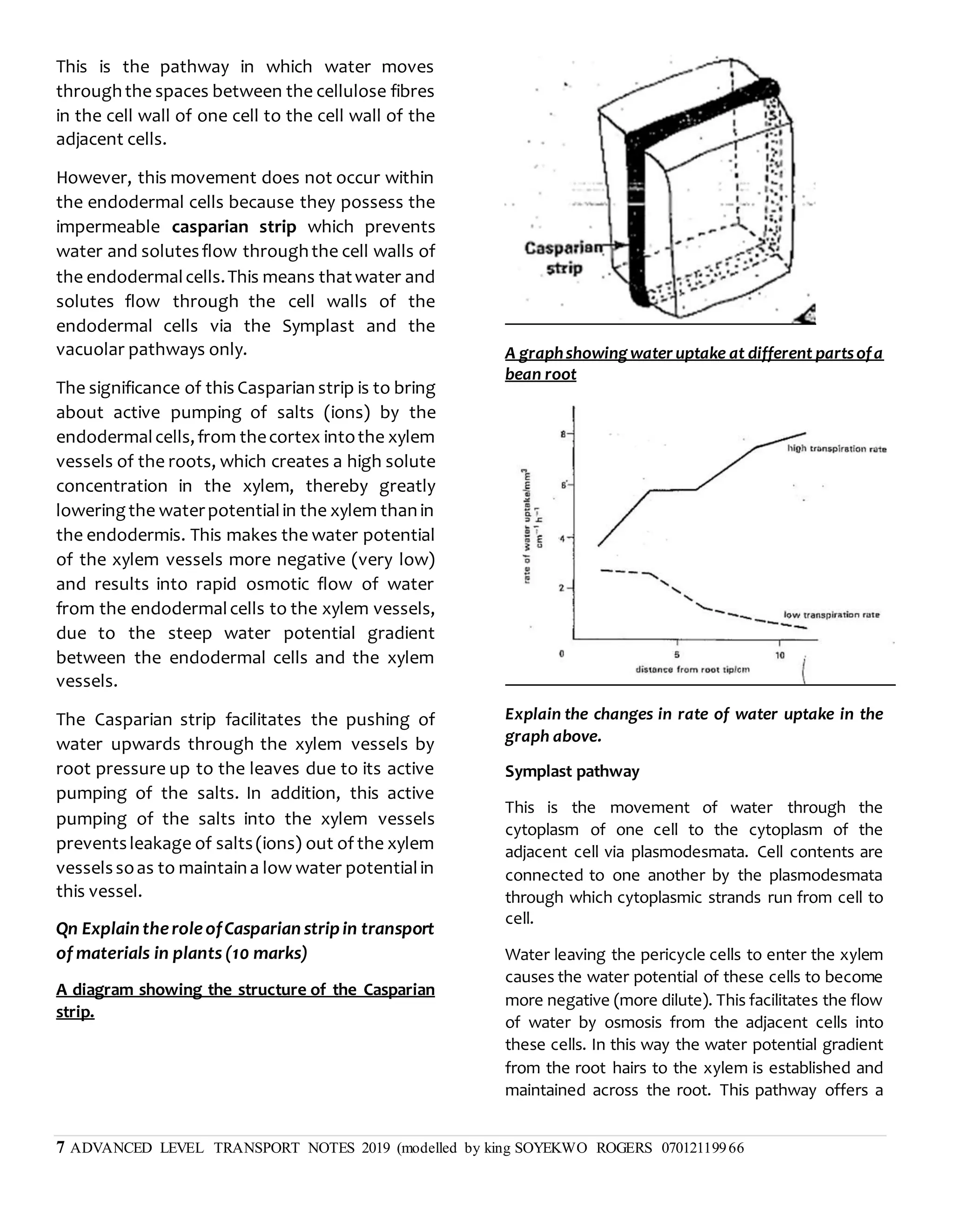 7 ADVANCED LEVEL TRANSPORT NOTES 2019 (modelled by king SOYEKWO ROGERS 07012119966
This is the pathway in which water moves
throughthe spaces between the cellulose fibres
in the cell wall of one cell to the cell wall of the
adjacent cells.
However, this movement does not occur within
the endodermal cells because they possess the
impermeable casparian strip which prevents
water and solutesflow throughthe cell walls of
the endodermalcells.This means thatwater and
solutes flow through the cell walls of the
endodermal cells via the Symplast and the
vacuolar pathways only.
The significance of this Casparian strip is to bring
about active pumping of salts (ions) by the
endodermalcells,from thecortex intothe xylem
vessels of the roots, which creates a high solute
concentration in the xylem, thereby greatly
loweringthe waterpotentialin the xylem thanin
the endodermis. This makes the water potential
of the xylem vessels more negative (very low)
and results into rapid osmotic flow of water
from the endodermalcells to the xylem vessels,
due to the steep water potential gradient
between the endodermal cells and the xylem
vessels.
The Casparian strip facilitates the pushing of
water upwards through the xylem vessels by
root pressure up to the leaves due to its active
pumping of the salts. In addition, this active
pumping of the salts into the xylem vessels
preventsleakage of salts(ions) out of the xylem
vesselssoas to maintaina low water potentialin
this vessel.
Qn Explain theroleofCasparian stripin transport
of materials in plants (10 marks)
A diagram showing the structure of the Casparian
strip.
A graphshowingwater uptake at different partsofa
bean root
Explain the changes in rate of water uptake in the
graph above.
Symplast pathway
This is the movement of water through the
cytoplasm of one cell to the cytoplasm of the
adjacent cell via plasmodesmata. Cell contents are
connected to one another by the plasmodesmata
through which cytoplasmic strands run from cell to
cell.
Water leaving the pericycle cells to enter the xylem
causes the water potential of these cells to become
more negative (more dilute). This facilitates the flow
of water by osmosis from the adjacent cells into
these cells. In this way the water potential gradient
from the root hairs to the xylem is established and
maintained across the root. This pathway offers a
 