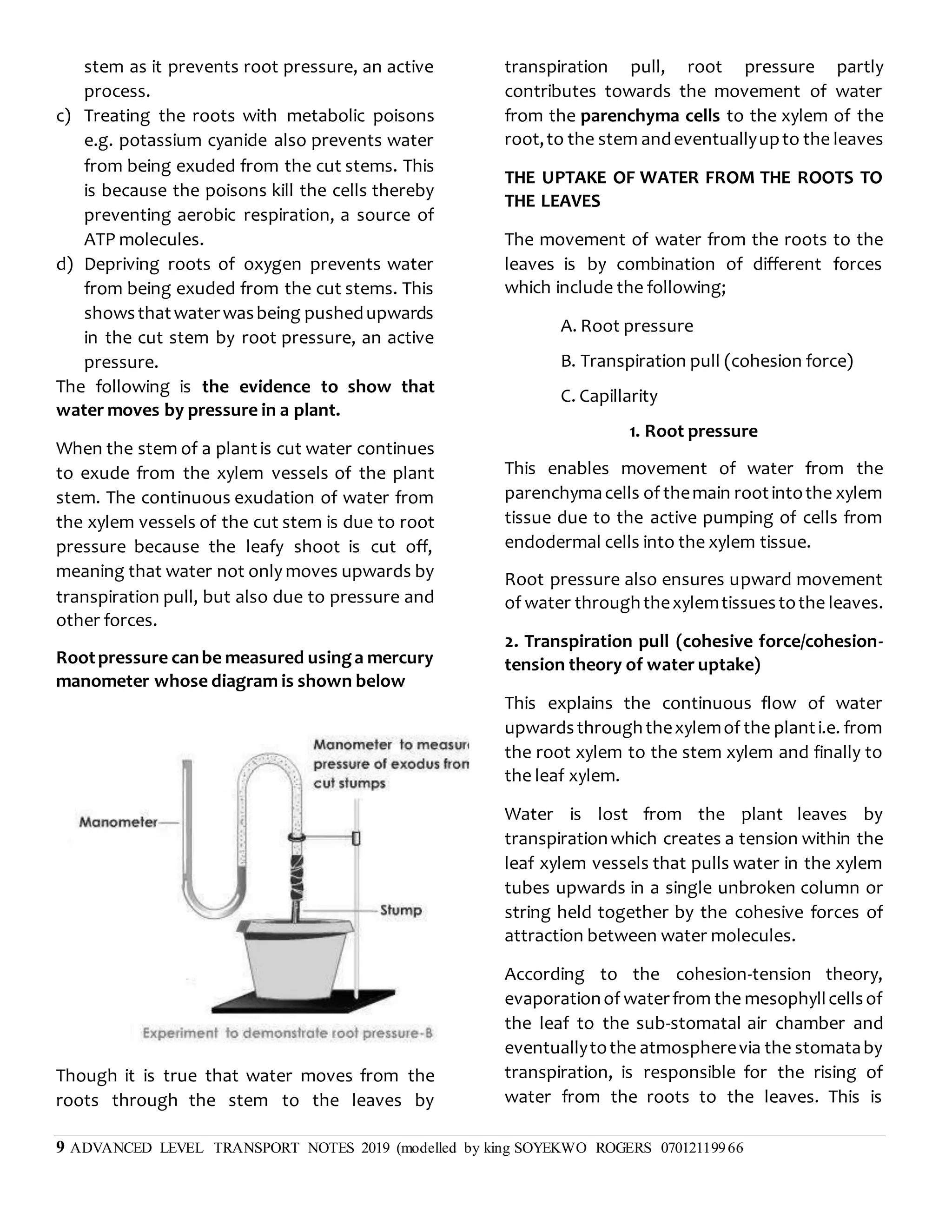 9 ADVANCED LEVEL TRANSPORT NOTES 2019 (modelled by king SOYEKWO ROGERS 07012119966
stem as it prevents root pressure, an active
process.
c) Treating the roots with metabolic poisons
e.g. potassium cyanide also prevents water
from being exuded from the cut stems. This
is because the poisons kill the cells thereby
preventing aerobic respiration, a source of
ATP molecules.
d) Depriving roots of oxygen prevents water
from being exuded from the cut stems. This
showsthatwaterwasbeing pushedupwards
in the cut stem by root pressure, an active
pressure.
The following is the evidence to show that
water moves by pressure in a plant.
When the stem of a plantis cut water continues
to exude from the xylem vessels of the plant
stem. The continuous exudation of water from
the xylem vessels of the cut stem is due to root
pressure because the leafy shoot is cut off,
meaning that water not only moves upwards by
transpiration pull, but also due to pressure and
other forces.
Rootpressure canbe measured usinga mercury
manometer whose diagram is shown below
Though it is true that water moves from the
roots through the stem to the leaves by
transpiration pull, root pressure partly
contributes towards the movement of water
from the parenchyma cells to the xylem of the
root,to the stem andeventuallyupto the leaves
THE UPTAKE OF WATER FROM THE ROOTS TO
THE LEAVES
The movement of water from the roots to the
leaves is by combination of different forces
which include the following;
A. Root pressure
B. Transpiration pull (cohesion force)
C. Capillarity
1. Root pressure
This enables movement of water from the
parenchymacells of themain rootintothe xylem
tissue due to the active pumping of cells from
endodermal cells into the xylem tissue.
Root pressure also ensures upward movement
of water throughthexylemtissuestothe leaves.
2. Transpiration pull (cohesive force/cohesion-
tension theory of water uptake)
This explains the continuous flow of water
upwardsthroughthexylemof the planti.e. from
the root xylem to the stem xylem and finally to
the leaf xylem.
Water is lost from the plant leaves by
transpirationwhich creates a tension within the
leaf xylem vessels that pulls water in the xylem
tubes upwards in a single unbroken column or
string held together by the cohesive forces of
attraction between water molecules.
According to the cohesion-tension theory,
evaporationof waterfrom the mesophyllcellsof
the leaf to the sub-stomatal air chamber and
eventuallytothe atmospherevia the stomataby
transpiration, is responsible for the rising of
water from the roots to the leaves. This is
 