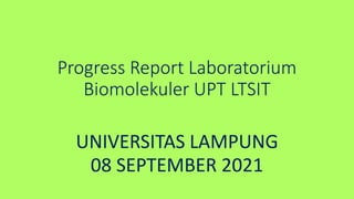 Progress Report Laboratorium
Biomolekuler UPT LTSIT
UNIVERSITAS LAMPUNG
08 SEPTEMBER 2021
 