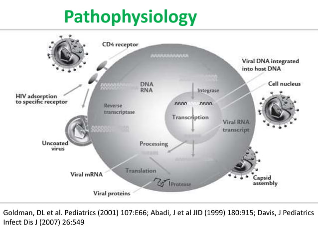 HIV in pediatrics 2022.pptx | Infectious Diseases | Diseases and Conditions