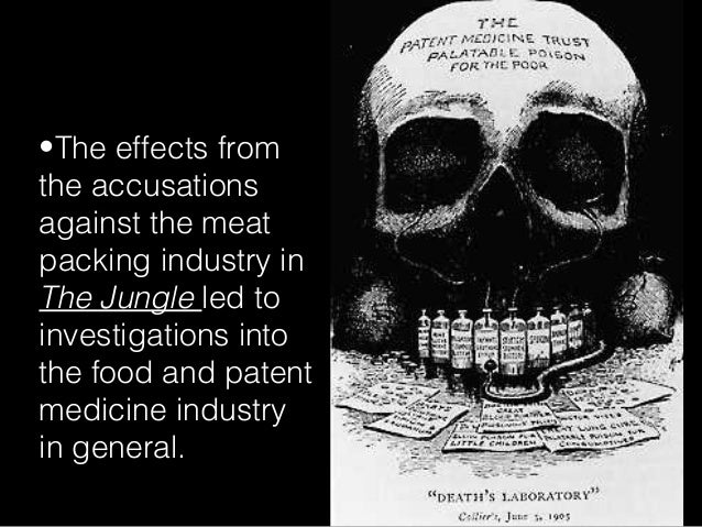 Upton sinclair and critics of the jungle