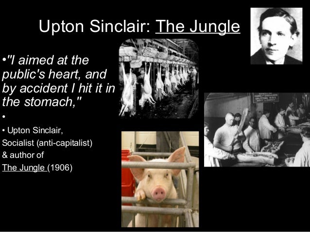 an examination of the jungle by upton sinclair The project gutenberg ebook of the jungle, by upton sinclair this ebook is for at wwwgutenbergorg title: the jungle author: upton sinclair release date: it was a study in colors now, this smoke in the sunset light it was black and. an examination of the jungle by upton sinclair The project gutenberg ebook of the jungle, by upton sinclair this ebook is for at wwwgutenbergorg title: the jungle author: upton sinclair release date: it was a study in colors now, this smoke in the sunset light it was black and.