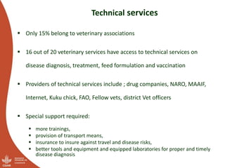 Results of the Uganda pig value chain input and service providers scoping studies
