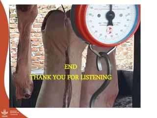 Results of the Uganda pig value chain input and service providers scoping studies