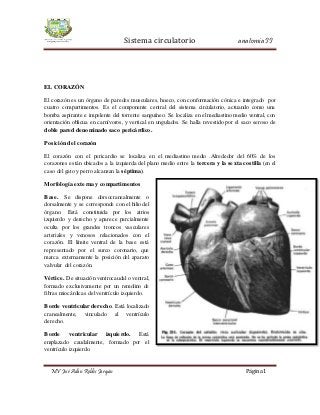 Sistema circulatorio anatomía II
MV José Adán Robles Jarquín Página 1
EL CORAZÓN
El corazón es un órgano de paredes musculares, hueco, con conformación cónica e integrado por
cuatro compartimentos. Es el componente central del sistema circulatorio, actuando como una
bomba aspirante e impelente del torrente sanguíneo. Se localiza en el mediastino medio ventral, con
orientación oblicua en carnívoros, y vertical en ungulados. Se halla revestido por el saco seroso de
doble pared denominado saco pericárdico.
Posición del corazón
El corazón con el pericardio se localiza en el mediastino medio .Alrededor del 60% de los
corazones están ubicados a la izquierda del plano medio entre la tercera y la sexta costilla (en el
caso del gato y perro alcanzan la séptima).
Morfología externa y compartimentos
Base. Se dispone dorsocranealmente o
dorsalmente y se corresponde con el hilio del
órgano. Está constituida por los atrios
izquierdo y derecho y aparece parcialmente
oculta por los grandes troncos vasculares
arteriales y venosos relacionados con el
corazón. El límite ventral de la base está
representado por el surco coronario, que
marca externamente la posición del aparato
valvular del corazón.
Vértice. De situación ventrocaudal o ventral,
formado exclusivamente por un remolino de
fibras miocárdicas del ventrículo izquierdo.
Borde ventricular derecho. Está localizado
cranealmente, vinculado al ventrículo
derecho.
Borde ventricular izquierdo. Está
emplazado caudalmente, formado por el
ventrículo izquierdo.
 