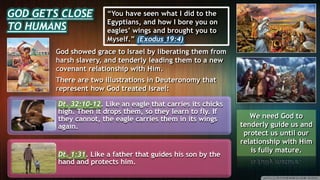 GOD GETS CLOSE
TO HUMANS
“You have seen what I did to the
Egyptians, and how I bore you on
eagles’ wings and brought you to
Myself.” (Exodus 19:4)
God showed grace to Israel by liberating them from
harsh slavery, and tenderly leading them to a new
covenant relationship with Him.
There are two illustrations in Deuteronomy that
represent how God treated Israel:
Dt. 32:10-12. Like an eagle that carries its chicks
high. Then it drops them, so they learn to fly. If
they cannot, the eagle carries them in its wings
again.
Dt. 1:31. Like a father that guides his son by the
hand and protects him.
We need God to
tenderly guide us and
protect us until our
relationship with Him
is fully mature.
 