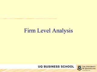 Firm Level Analysis 