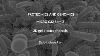 Comprehensive Overview of 2D Gel Electrophoresis in Proteomics and ...