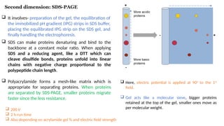 Comprehensive Overview of 2D Gel Electrophoresis in Proteomics and ...