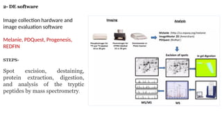 Comprehensive Overview of 2D Gel Electrophoresis in Proteomics and ...