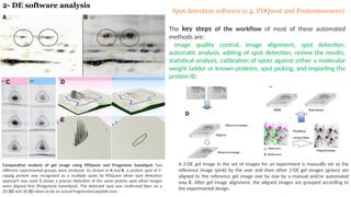 Comprehensive Overview of 2D Gel Electrophoresis in Proteomics and ...