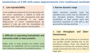 Comprehensive Overview of 2D Gel Electrophoresis in Proteomics and ...